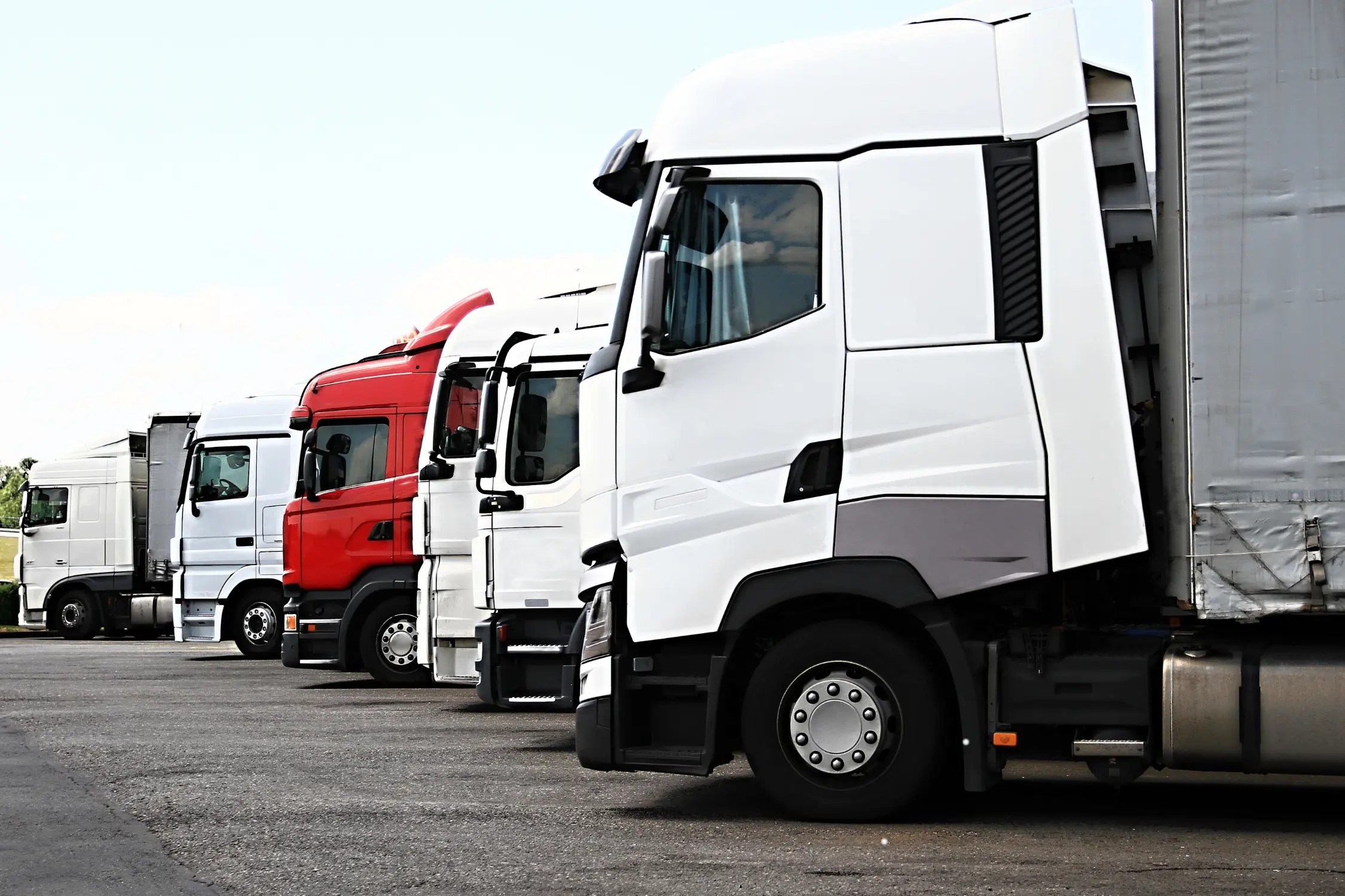 express delivery in Ripon